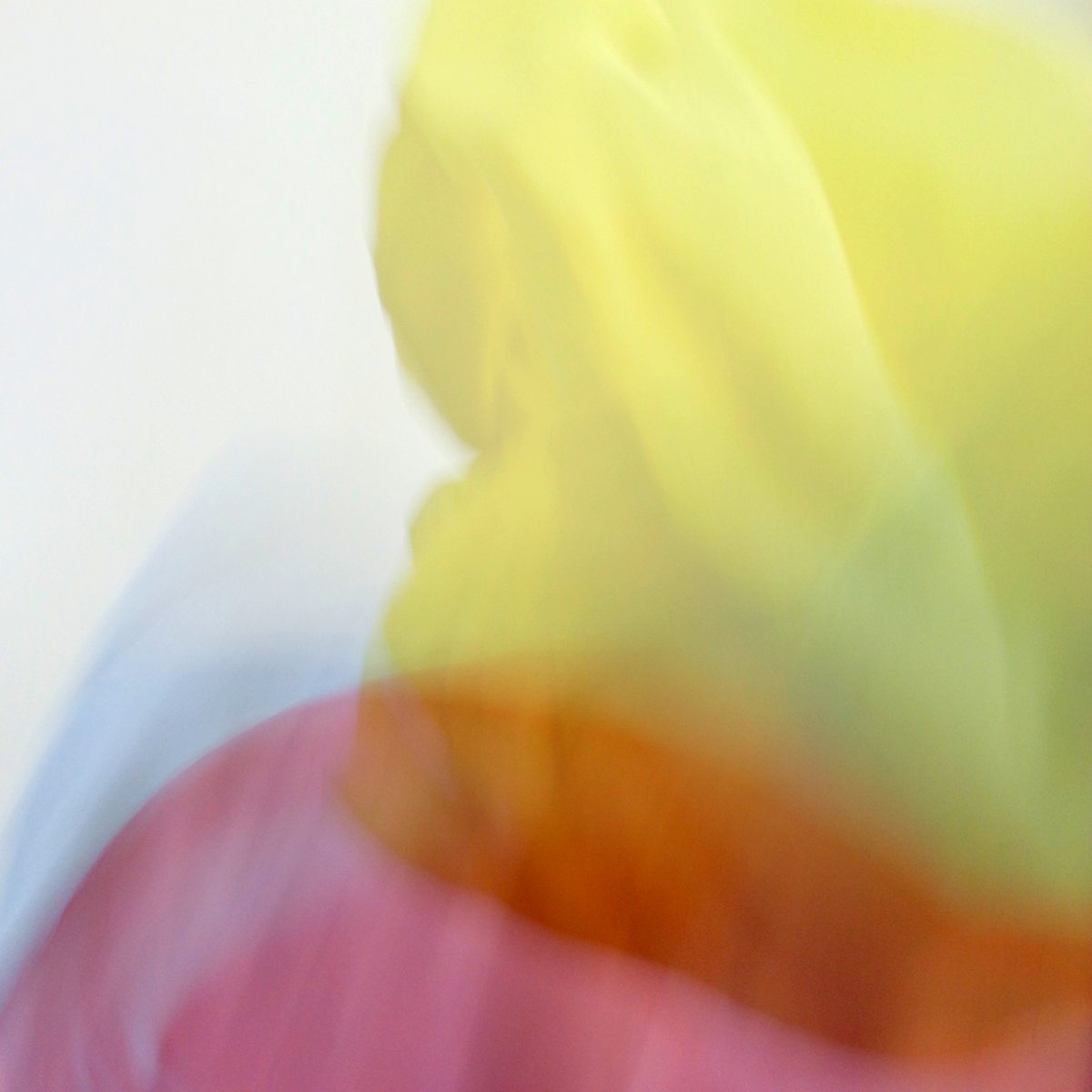 ‘Where Have all the Colours Gone’ Playlisted on 95bFM and RDU