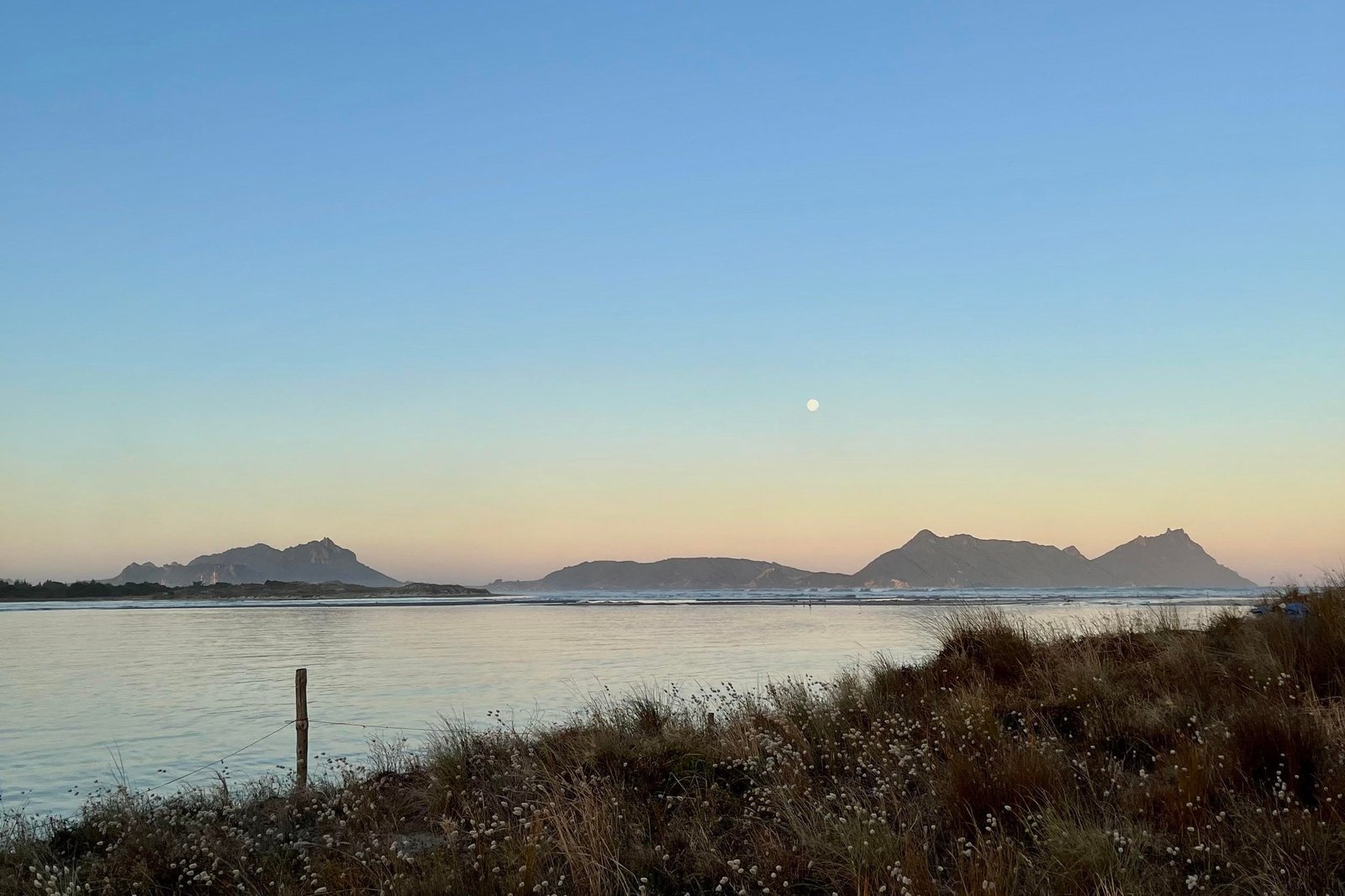 Storied People and COVID-19